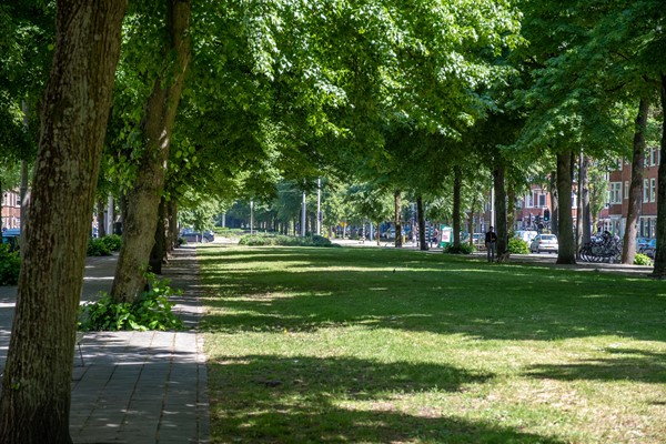 Medium property photo - Diezestraat 6-2, 1078 JP Amsterdam